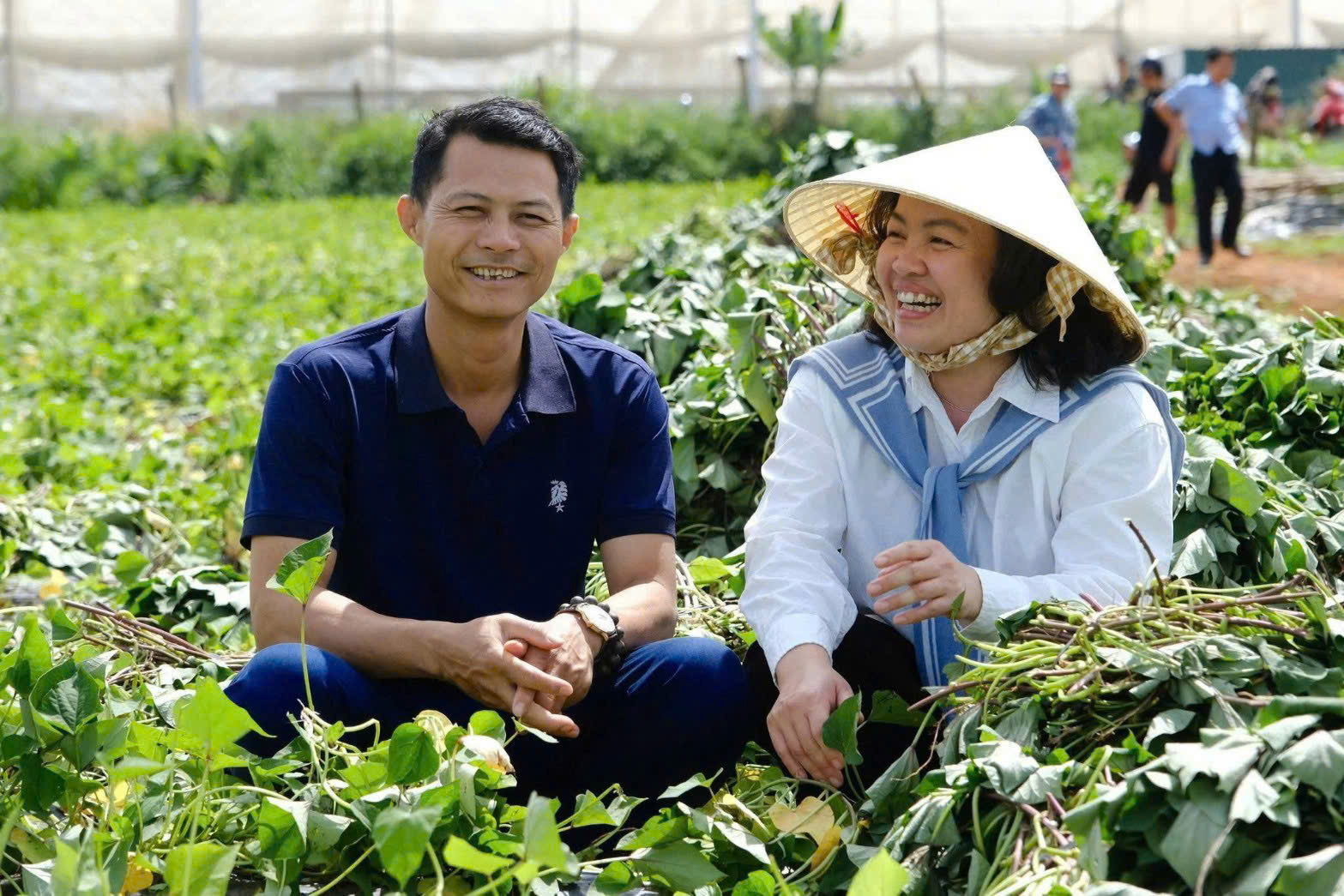 Năng lực vùng trồng