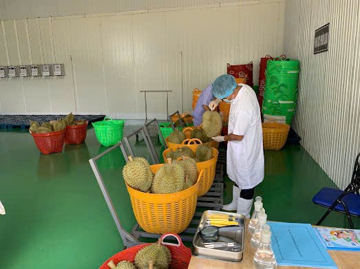 Chuẩn hoá kiểm soát chất lượng trước mỗi chuyến hàng